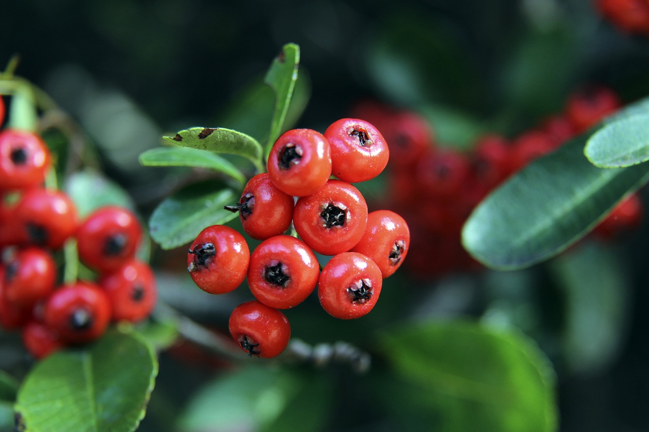 他在上一个 他在上一个