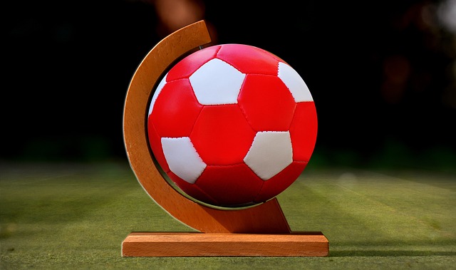 我的天地 我的天地